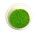 Wasserpflanze Hemianthus Callitrichoides Cuba in-vitro Wasserpflanze Hemianthus Callitrichoides Cuba in-vitro