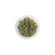Wasserpflanze Cryptocoryne Rubella in-vitro
