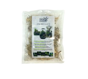 AquastoreXL Wabi Kusa Moos 1L