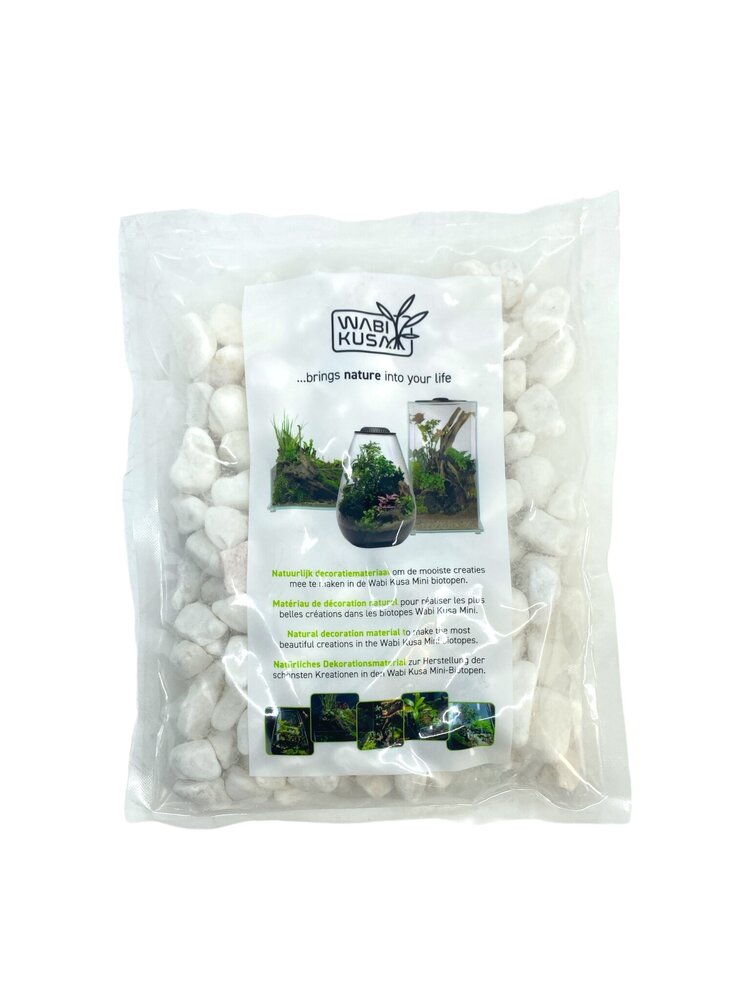 AquastoreXL Wabi Kusa Kiesel Weiß 1-3cm 1kg AquastoreXL Wabi Kusa Kiesel Weiß 1-3cm 1kg