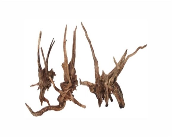 AquastoreXL Wabi Kusa Schmal Holz Dunkel 7-18cm 2 Stück