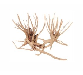 AquastoreXL Wabi Kusa Schmal Holz Hell 7-18cm 2 Stück