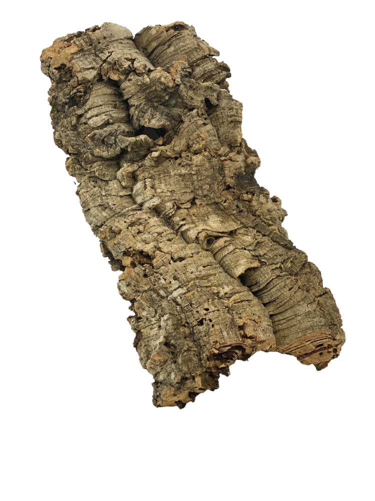 AquastoreXL Korkrinde 20cm