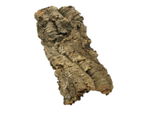 AquastoreXL Korkrinde 20cm