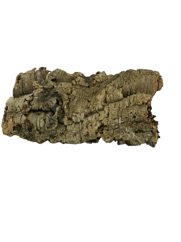 AquastoreXL Korkrinde 20cm