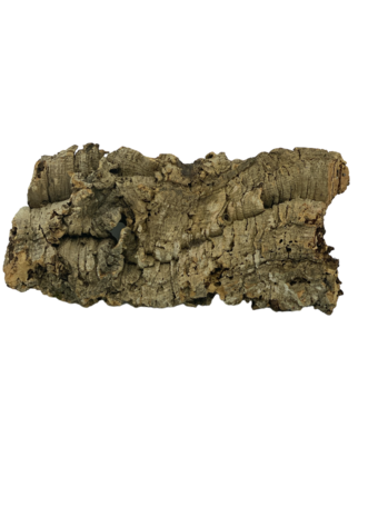 AquastoreXL Korkrinde 20cm