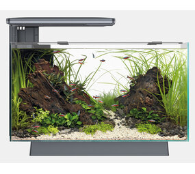 Superfish Aquarium Quadro 70 Pro Schwarz
