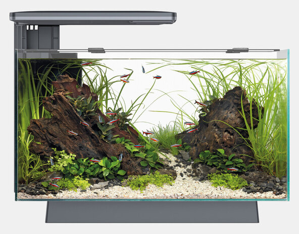 Superfish Aquarium Quadro 70 Pro Schwarz