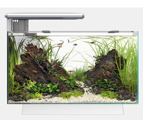 Superfish Aquarium Quadro 70 Pro Weiß Superfish Aquarium Quadro 70 Pro Weiß