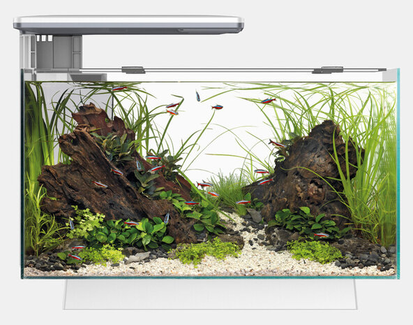 Superfish Aquarium Quadro 70 Pro Weiß Superfish Aquarium Quadro 70 Pro Weiß