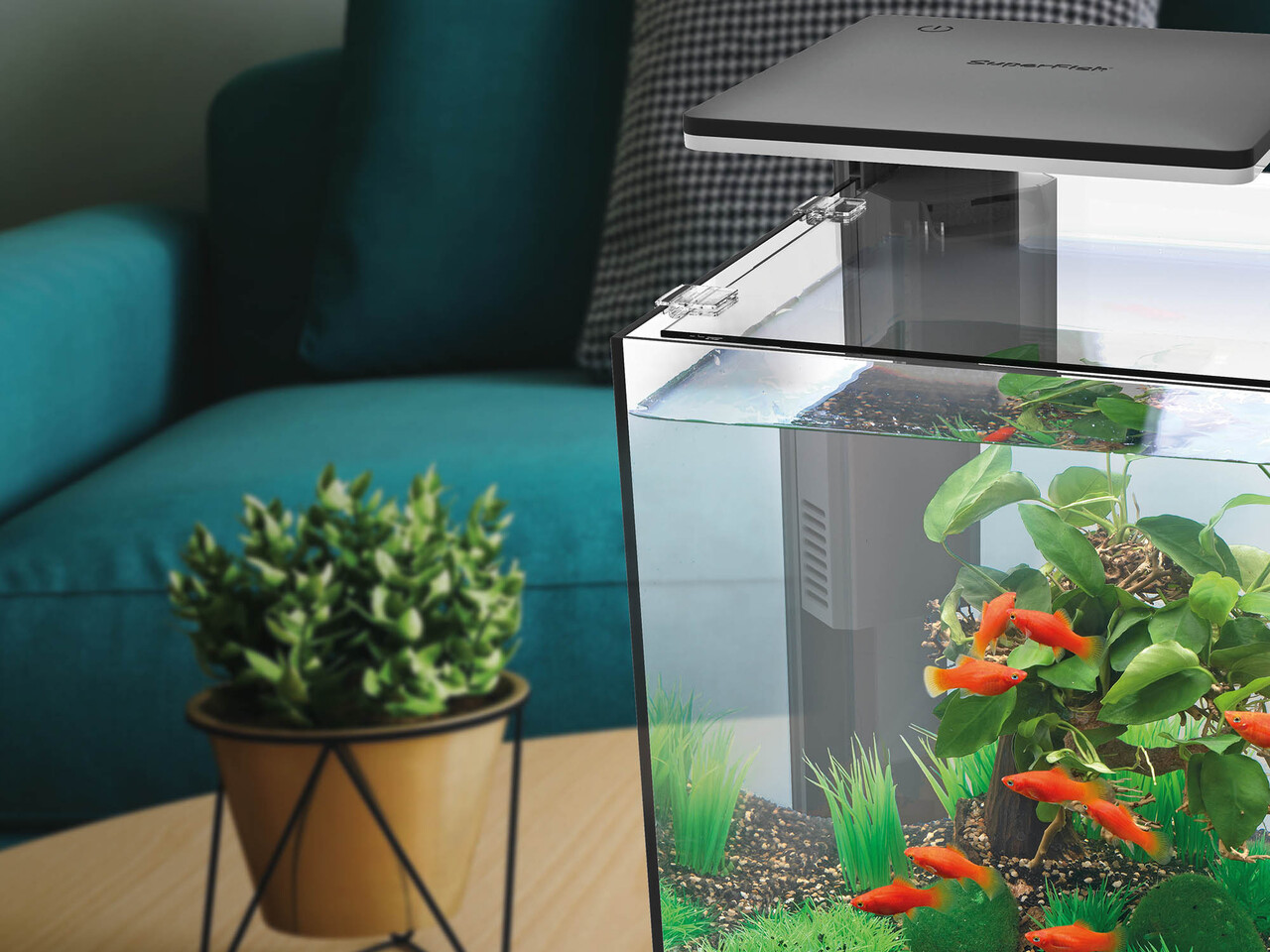 Superfish Aquarium Quadro 70 Pro Weiß Superfish Aquarium Quadro 70 Pro Weiß