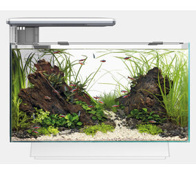 Superfish Aquarium Quadro 40 Multi Colour Weiß