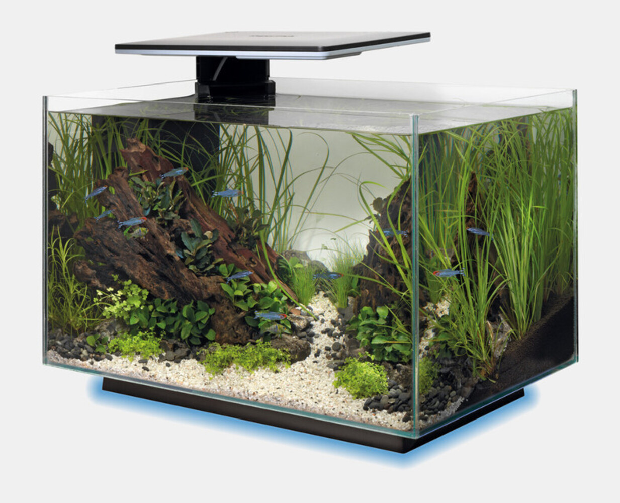Superfish Aquarium Quadro 40 Multi Colour Schwarz Superfish Aquarium Quadro 40 Multi Colour Schwarz
