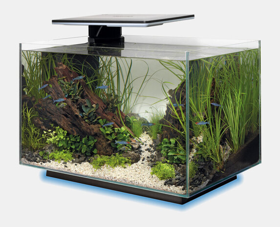 Superfish Aquarium Quadro 40 Multi Colour Schwarz Superfish Aquarium Quadro 40 Multi Colour Schwarz