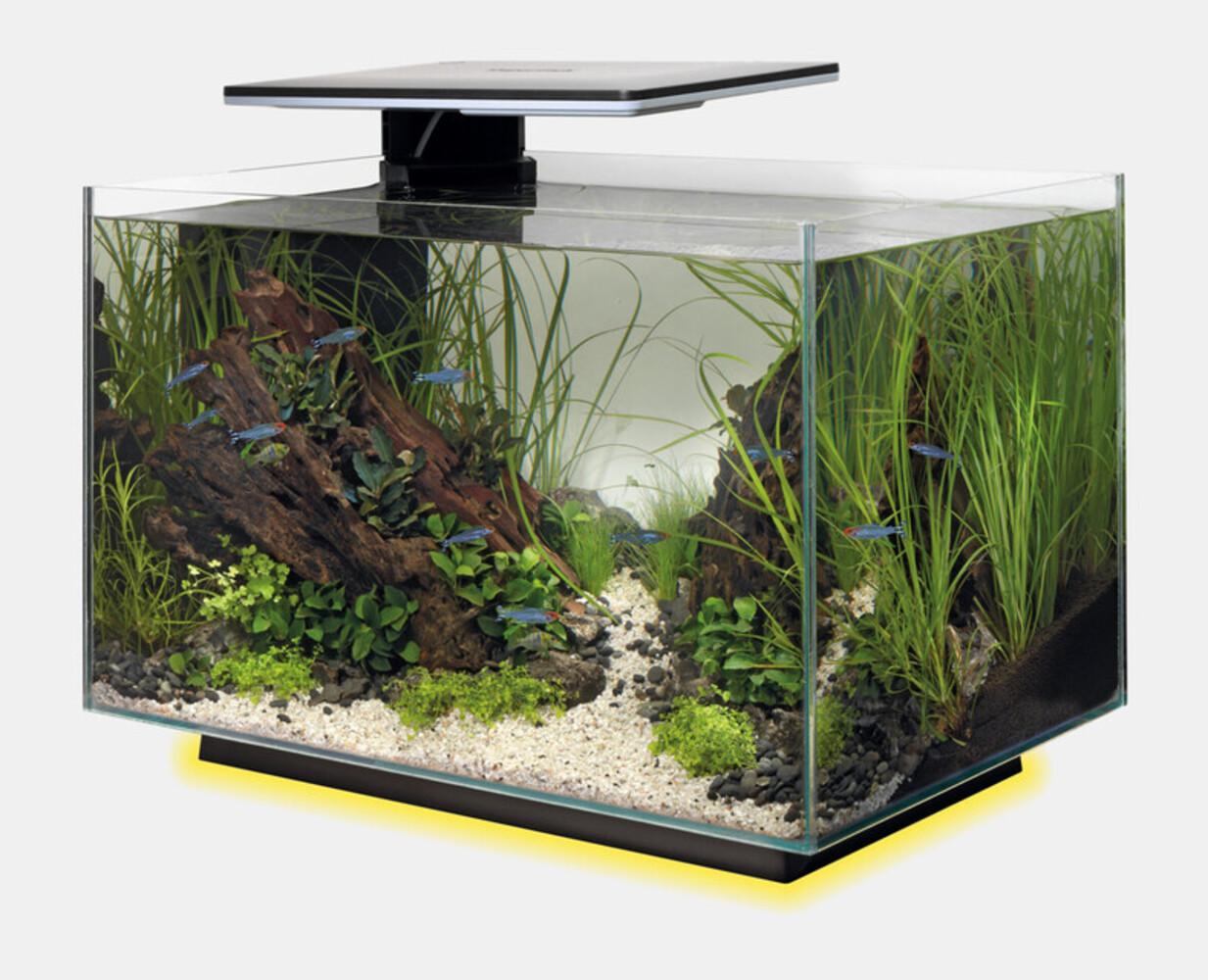 Superfish Aquarium Quadro 40 Multi Colour Schwarz Superfish Aquarium Quadro 40 Multi Colour Schwarz