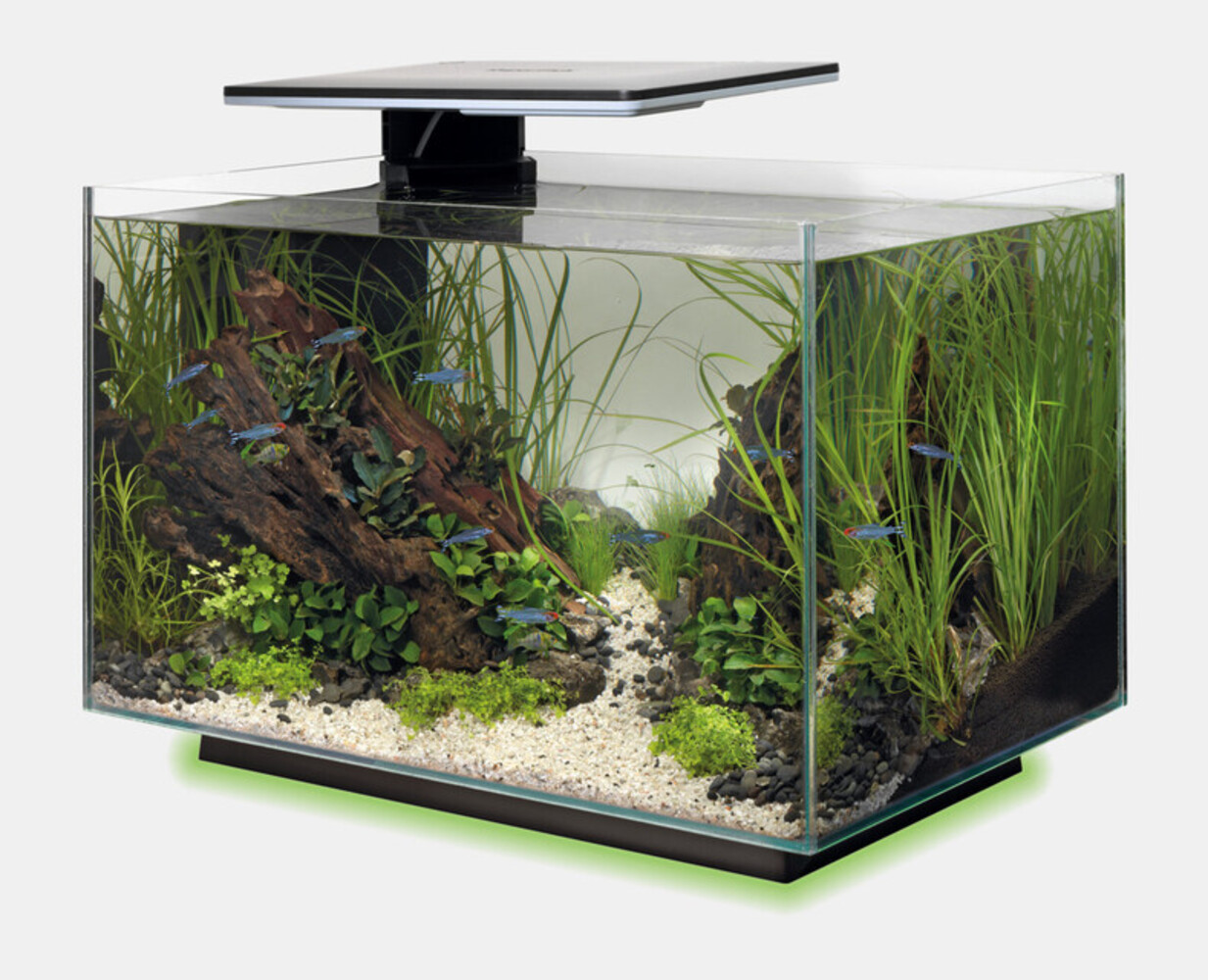 Superfish Aquarium Quadro 40 Multi Colour Schwarz Superfish Aquarium Quadro 40 Multi Colour Schwarz