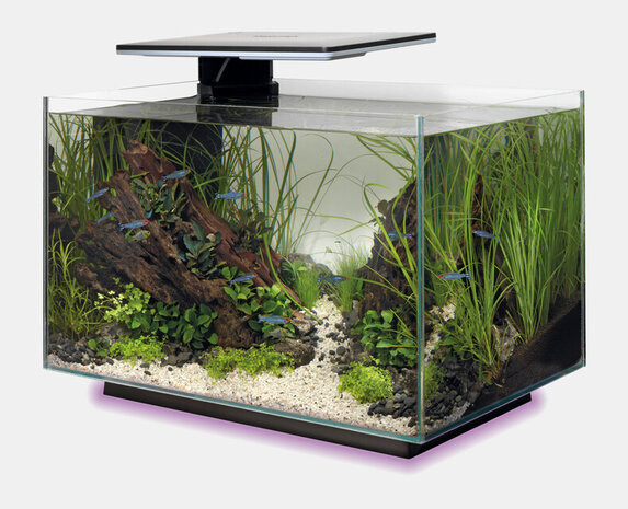 Superfish Aquarium Quadro 40 Multi Colour Schwarz Superfish Aquarium Quadro 40 Multi Colour Schwarz