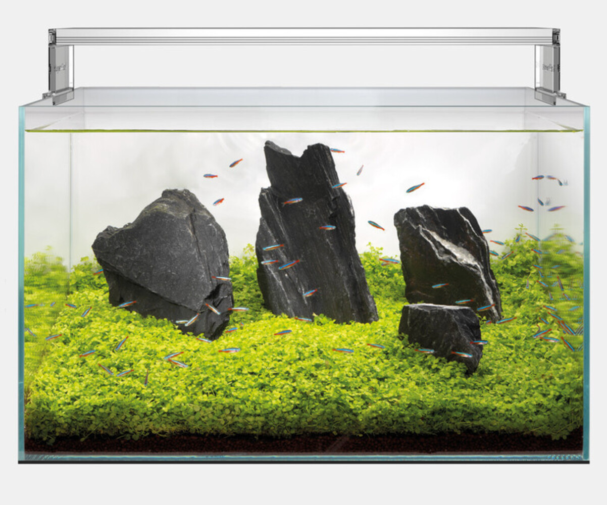 Superfish Scaper Aquarium 140
