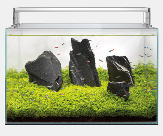 Superfish Scaper Aquarium 140