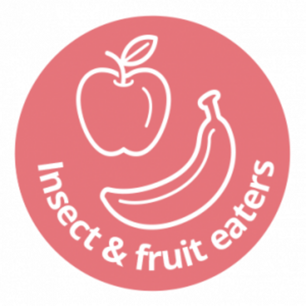 Hikari Crest Gel 50g (Frucht- und Insektenfresser)