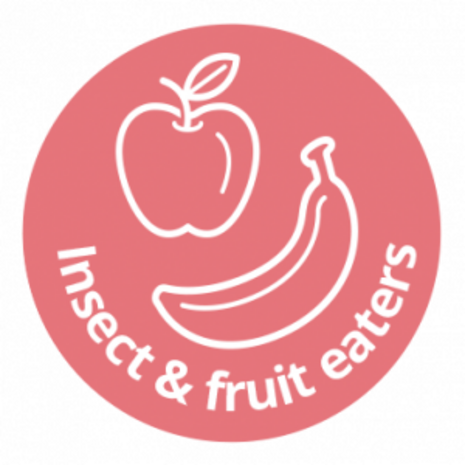 Hikari Crest Gel 50g (Frucht- und Insektenfresser)