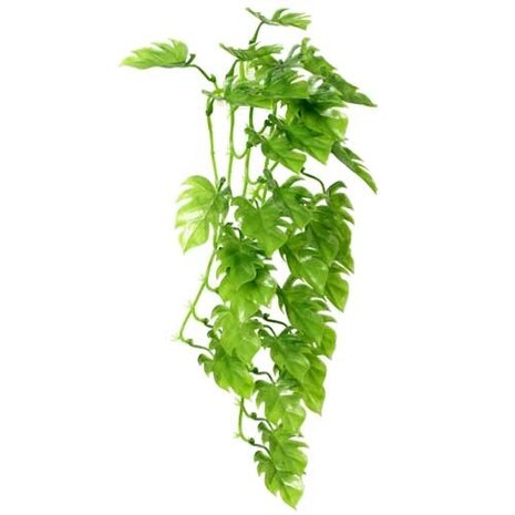 Hobby Terrano Hängepflanze Philo 37cm