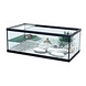 Aquatlantis Schildkrötenbecken Tortum 55 Schwarz