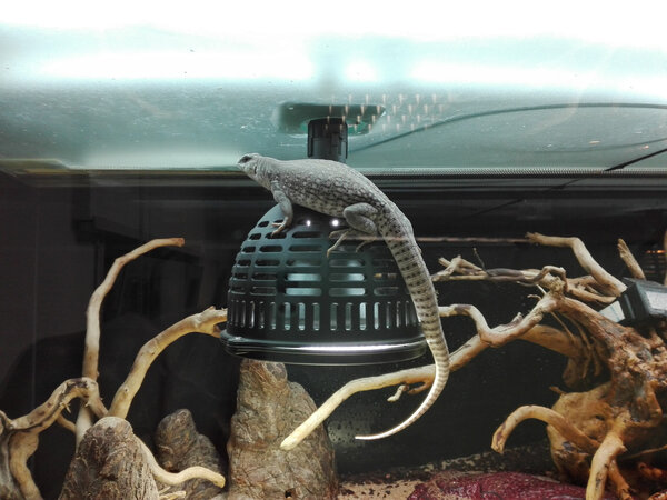 JBL TempProtect II Light M Hitzeschutzgerät