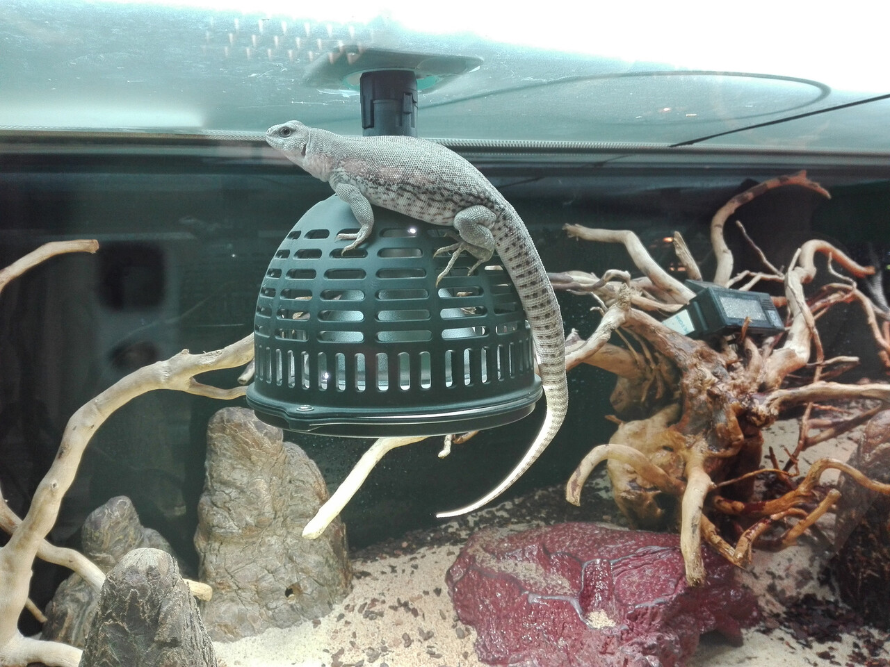 JBL TempProtect II Light M Hitzeschutzgerät