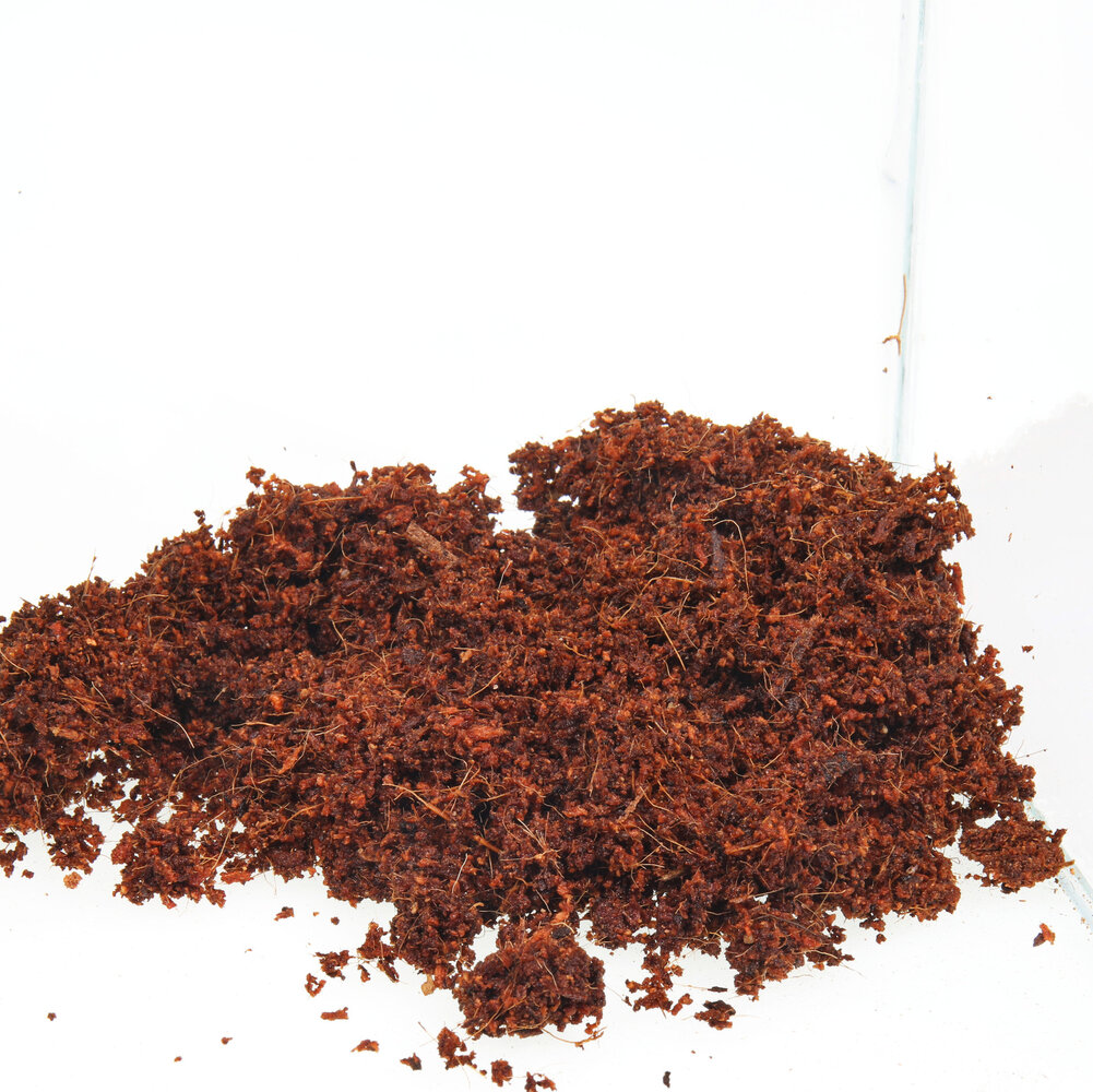 JBL TerraCoco Humus 600g 9 Liter