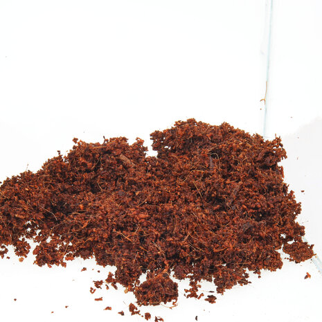 JBL TerraCoco Humus 600g 9 Liter