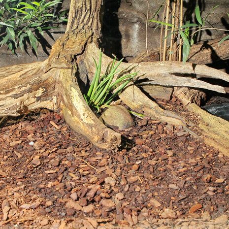 JBL TerraBark S 2-10mm 5 Liter Pinienrinde