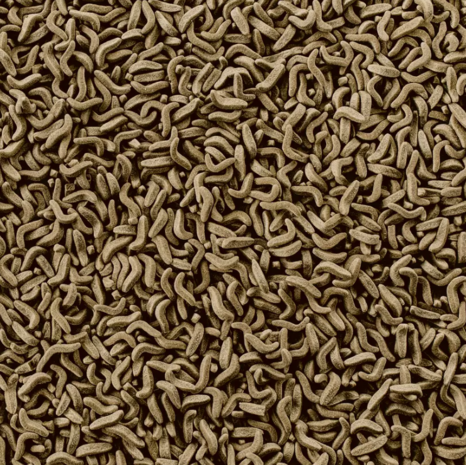 Tetra Wasserschildkrötenfutter mit Snack