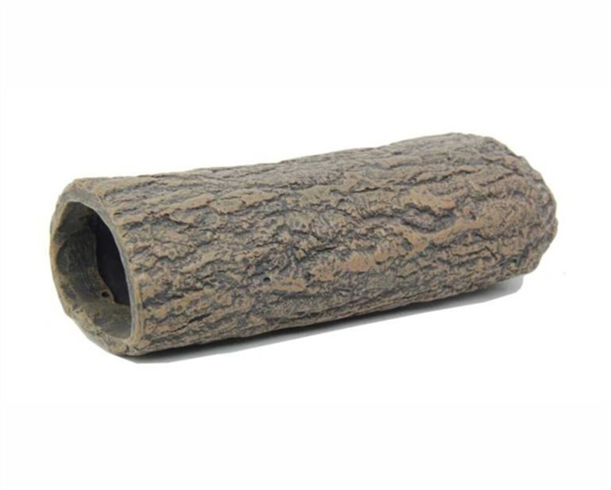 Blue Belle Pacific Wels Höhle Braun L