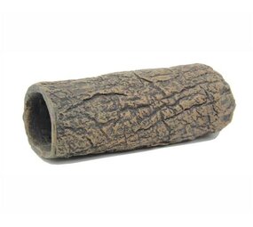 Blue Belle Pacific Wels Höhle Braun M