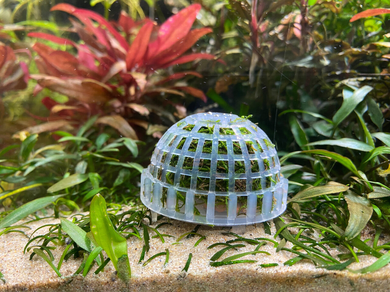 AquastoreXL Mooskappele