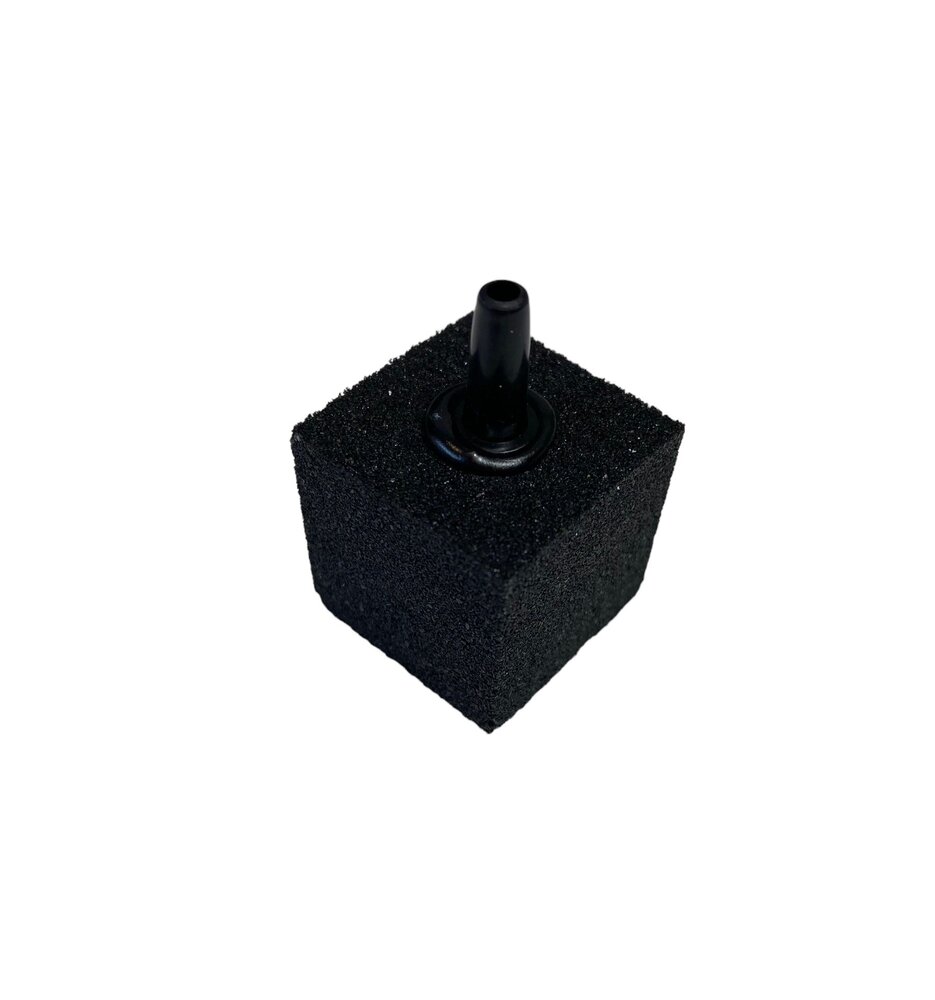 HS Aqua Luftstein Würfel Schwarz 25 MM Blister HS Aqua Luftstein Würfel Schwarz 25 MM Blister