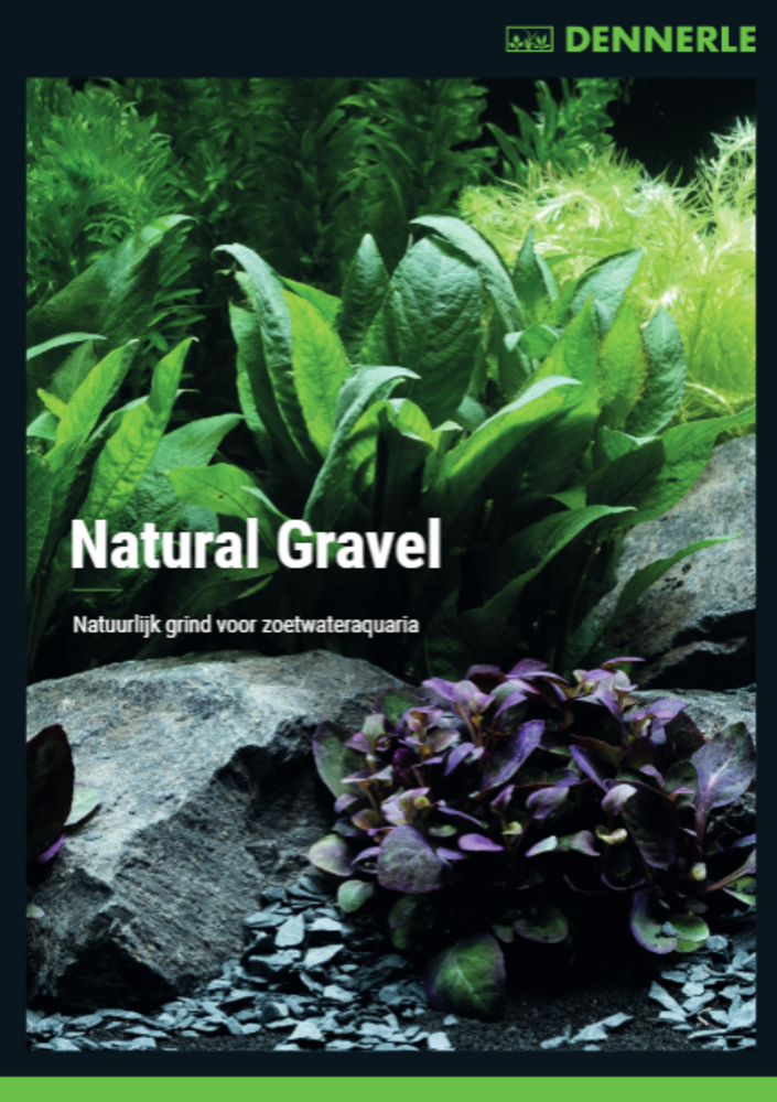 Dennerle Naturkies Rio Branco 0,1-2mm 500g Dennerle Naturkies Rio Branco 0,1-2mm 500g