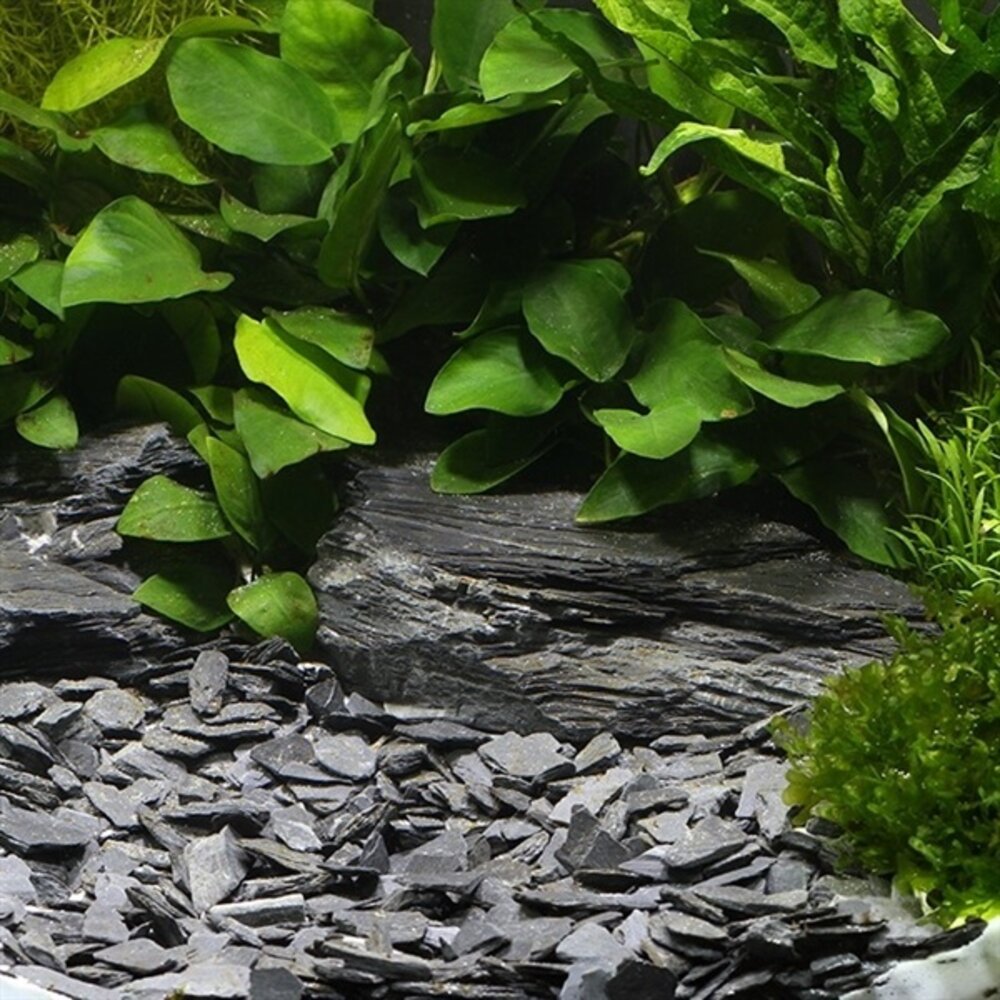 Dennerle Naturkies Kongo 10-30mm 2,5kg