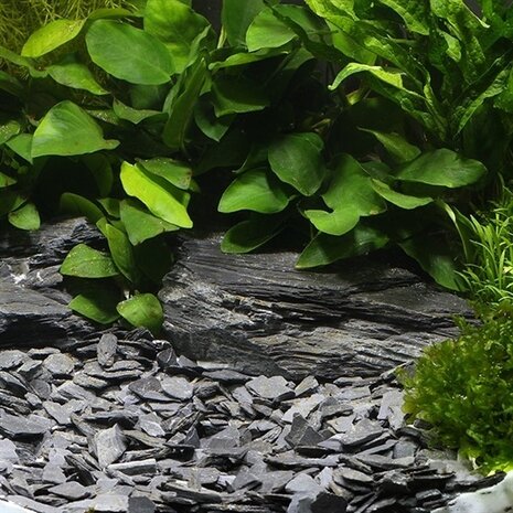 Dennerle Naturkies Kongo 10-30mm 2,5kg