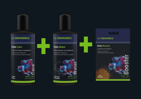 Dennerle All For Betta Futter + Wasseraufbereitung