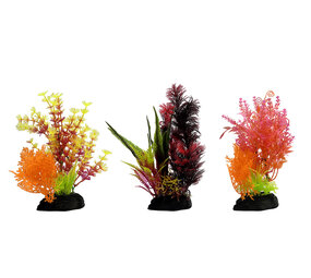 AquastoreXL Kunstpflanzen Paket Disco