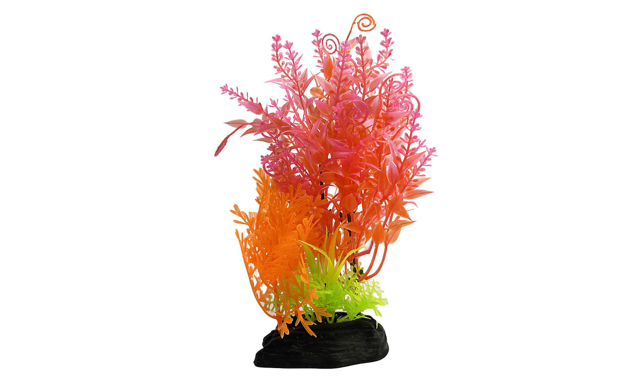 AquastoreXL Kunstpflanzen Paket Disco AquastoreXL Kunstpflanzen Paket Disco