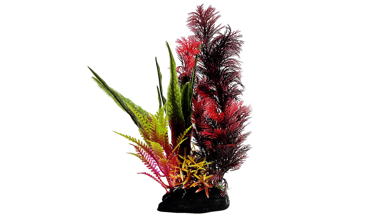 AquastoreXL Kunstpflanzen Paket Disco AquastoreXL Kunstpflanzen Paket Disco