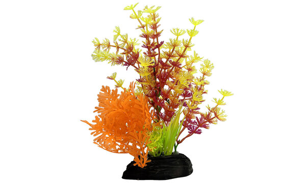 AquastoreXL Kunstpflanzen Paket Disco AquastoreXL Kunstpflanzen Paket Disco