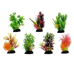 AquastoreXL Kunstpflanzen Komplettset