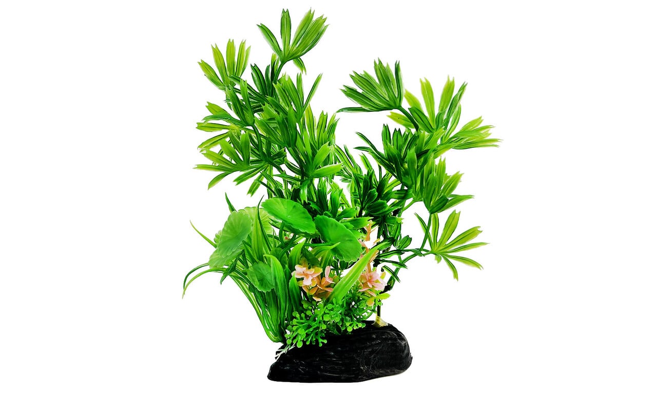 AquastoreXL Kunstpflanzen Komplettset