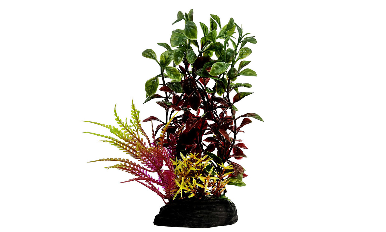 AquastoreXL Kunstpflanzen Komplettset