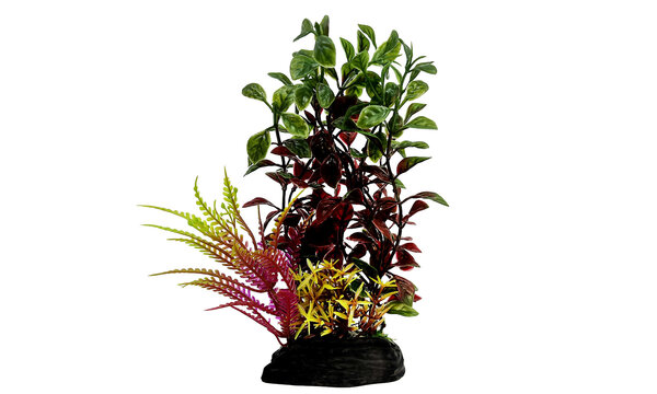 AquastoreXL Kunstpflanzen Komplettset