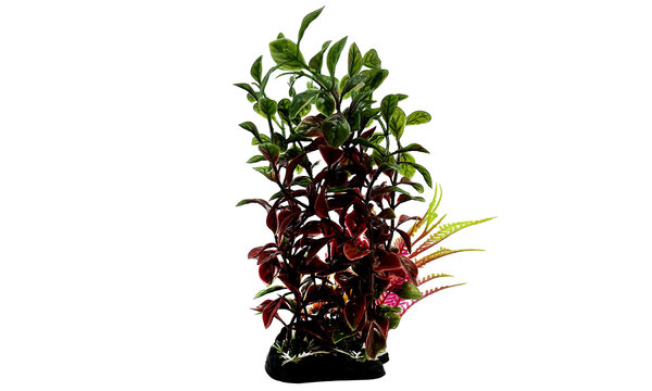 AquastoreXL Kunstpflanze 6